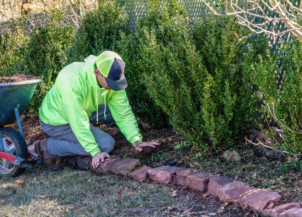 A young man wearing custom lawn care apparel mulches a flower bed.